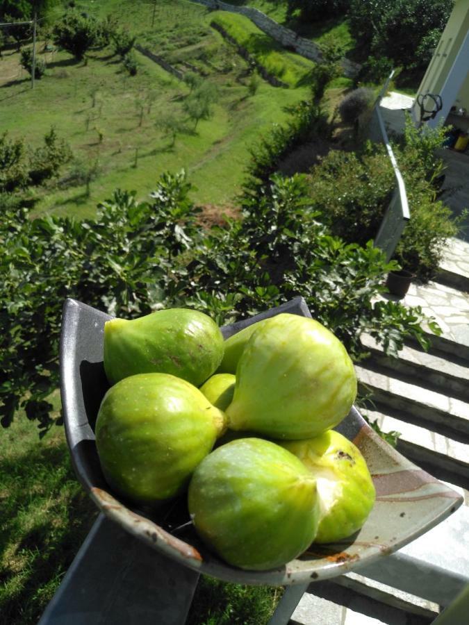 Borgo San Rocco Piemonte Appartement Castino Buitenkant foto